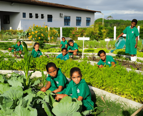 EDUCAÇÃO NO CAMPO