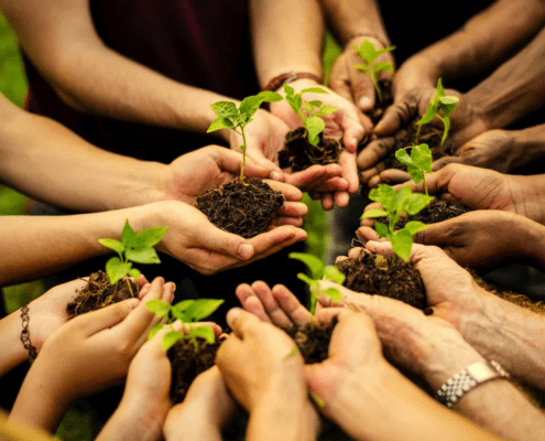 EDUCAÇÃO AMBIENTAL