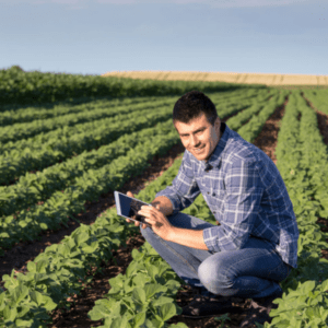 MBA AGRONEGOCIO E DESENVOLVIMENTO SUSTENTÁVEL