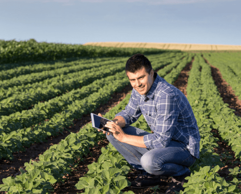 MBA AGRONEGOCIO E DESENVOLVIMENTO SUSTENTÁVEL